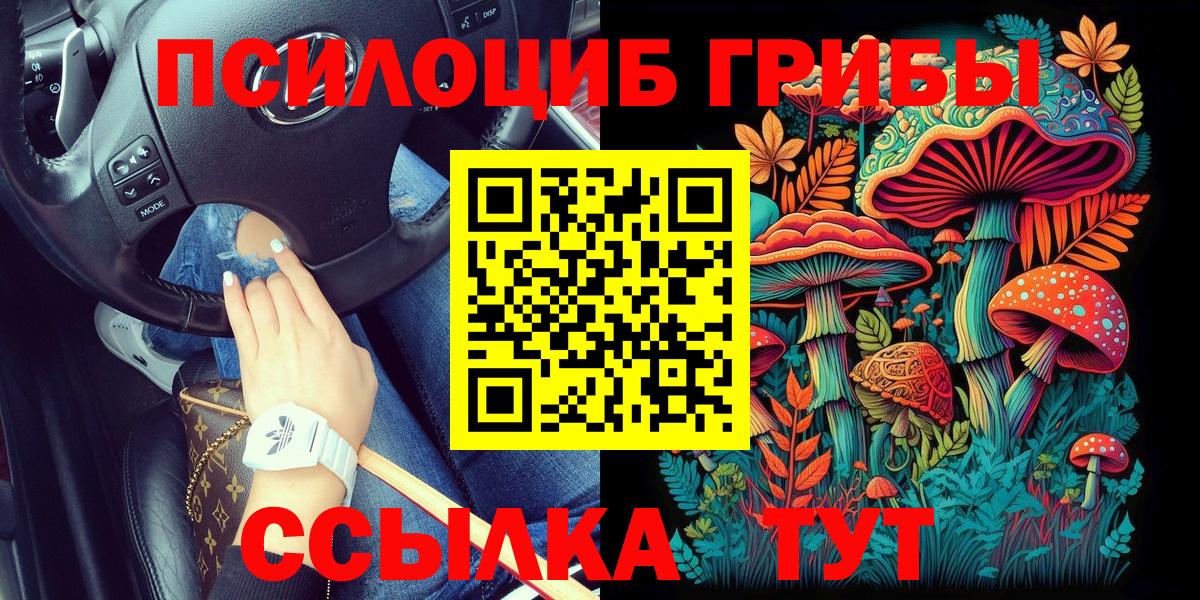Псилоцибиновые грибы прущие грибы Владикавказ